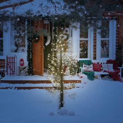 Christmas White Berry Pine Tree 6Ft Height With LED Lights
