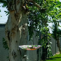 Glass Hanging Birdfeeder w/ Flowers and Butterfly