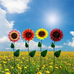 Colorful Glitter Sunflower Metal Garden Stakes- Display of 12