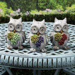 Alpine Corporation 13"L Succulent Owl Statue - Assorted Tray Pack of 9