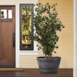 Alpine Corporation 11" Tall Indoor/Outdoor Barrel Shaped Planter