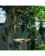 10" Glass Hanging Birdfeeder w/ Flowers and Butterfly