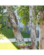 10" Glass Hanging Bird Feeder w/ Red Flowers & Hummingbird